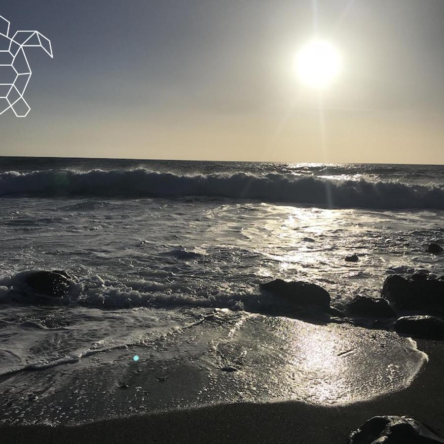 ロス・ジャノス・デ・アリダネCaretta Caretta'S Houseアパートメント エクステリア 写真